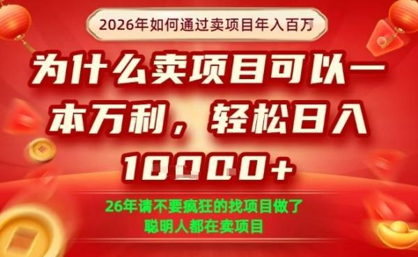 一单净利润1K+，26年想年入100个W，死磕卖项目就够了【揭秘】-三零资源