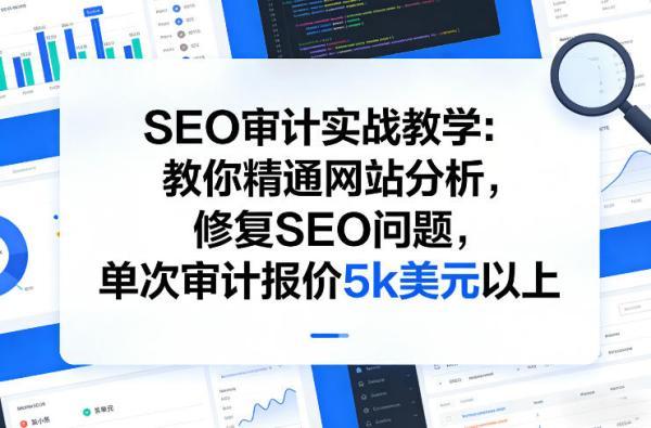 SEO审计实战教学:教你精通网站分析,修复SEO问题,单次审计报价5k美元以上-三零资源