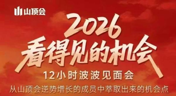 2026看得见的机会，剖析十几个实战案例，可直接抄作业，再优化迭代，内容超全，干货满满-三零资源