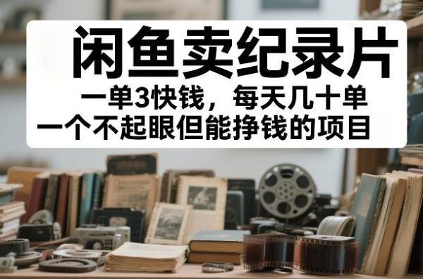 闲鱼卖纪录片，一单3快钱，每天几十单，一个不起眼但能挣钱的项目【揭秘】