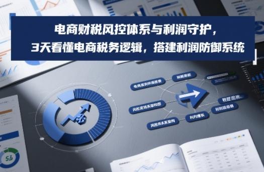 电商财税风控体系与利润守护,3天看懂电商税务逻辑,搭建利润防御系统-三零资源