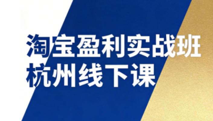 淘宝盈利实战班杭州线下课12月26-28日（音频+字幕），帮你掌握SOP流程+12门核心技术-三零资源