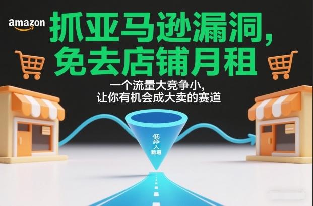 抓跨境电商漏洞，免去店铺月租，一个流量大竞争小，让你有机会成大卖的赛道-三零资源