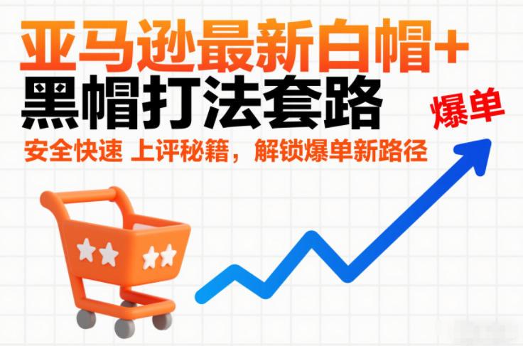 跨境电商最新白帽+黑帽打法套路,安全快速上评秘籍,解锁爆单新路径-三零资源