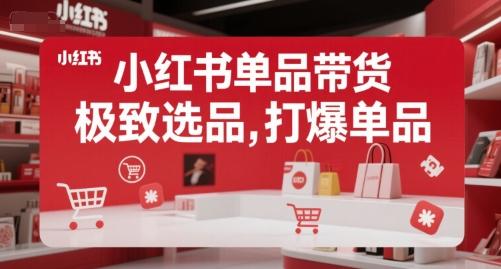 小红书单品带货，极致选品，打爆单品（更新12月）-三零资源