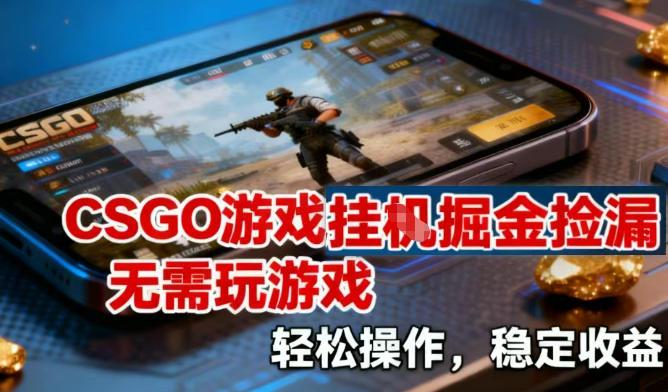 CSGO游戏挂G掘金捡漏,不需要玩游戏,操作简单,收益稳定【揭秘】-三零资源