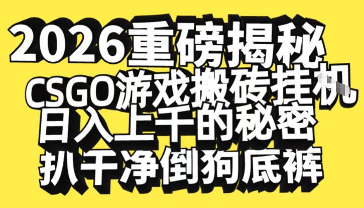 2026开年重磅解密,CSGO游戏搬砖挂G日入1k+的秘密,把倒狗的底裤扒干【揭秘】-三零资源
