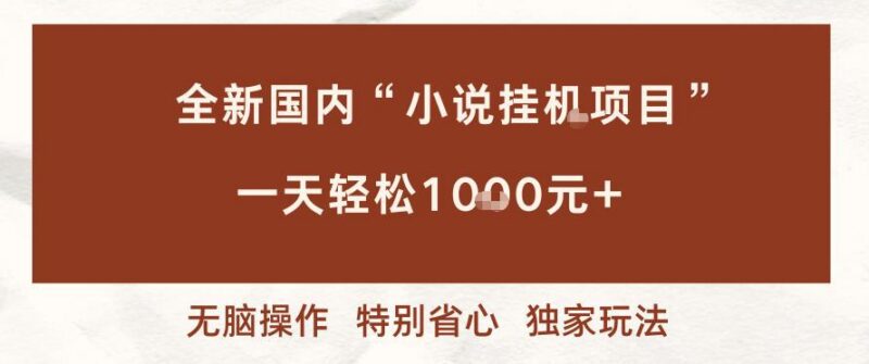 全新国内小说挂G项目,多窗口无脑跑,一天轻松1k+,特别省心【揭秘】-三零资源