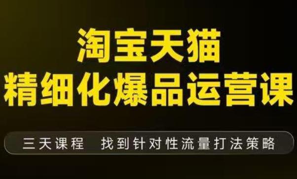 淘宝天猫精细化爆品运营(9月12-14杭州线下课),全方位拆解爆品打造逻辑【音频+字幕+文档】-三零资源