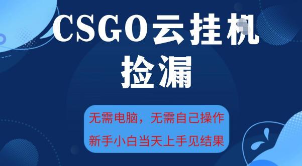 CSGO云挂G全自动捡漏,最新独家玩法,无需电脑操作,新手小白日入5张+【揭秘】-三零资源