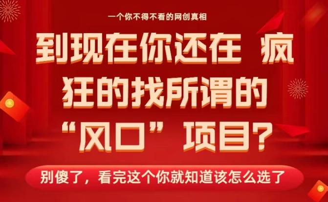 马上26年了，你还在找所谓的风口项目？别傻了，看完这个你全都懂了！【揭秘】-三零资源