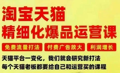 淘宝天猫精细化爆品运营课,免费流量打法-付费广告放大-利润增长-三大核心痛点,一次全部解决-三零资源