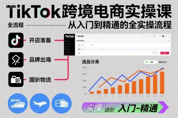 TikTok跨境电商实操课,从入门到精通的全实操流程-三零资源