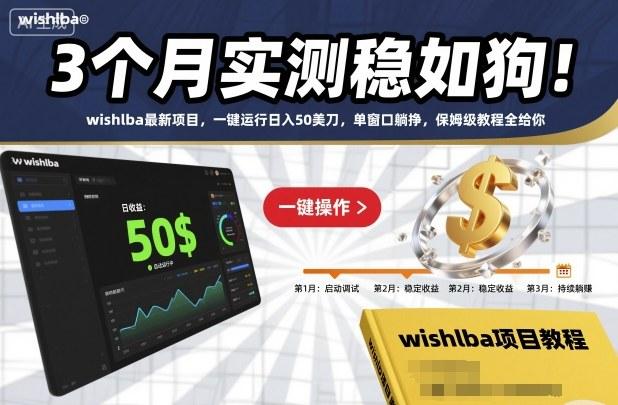 3个月实测稳如狗！wishlba最新项目，一键运行日入50美刀，单窗口躺挣，保姆级教程全给你【揭秘】-三零资源