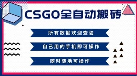 CSGO全自动搬砖,年底钱回家好项目,当天可拿到结果,新手小白轻松月入1W+【揭秘】-三零资源