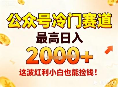 公众号冷门赛道，最高日入1k+，这波红利小白也能捡钱！-三零资源