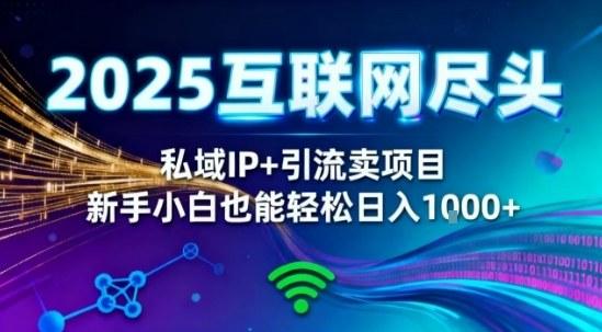 2025网创尽头王炸项目！私域IP+精准引流，新手小白在家躺賺日入1k，零经验也能上手【揭秘】-三零资源