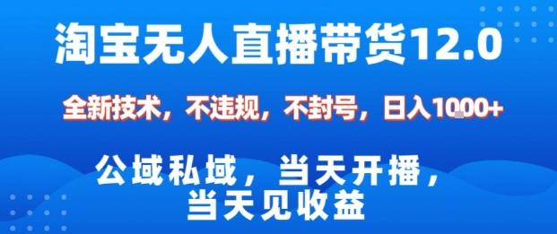 淘宝无人直播12.0，公域私域技术，不封号，不违规布局双十一流量风口，日入1k（独家技术）【揭秘】-三零资源