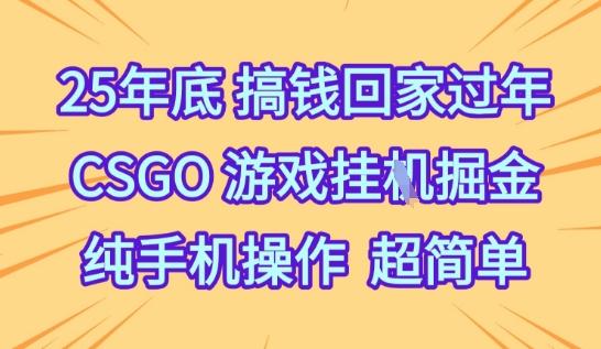 25年底搞钱回家过年,CSGO游戏挂G掘金,纯手机操作超简单【揭秘】-三零资源
