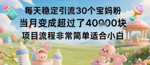 每天稳定引流30个宝妈粉当月变成超过了1W+项目流程非常简单适合小白-三零资源