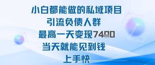 2025年小白都能做的私域项目引流负债人群最高一天变现1k+高变现难度低当天就能见到钱上手快-三零资源