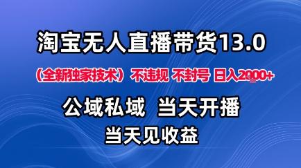 淘宝无人直播13.0，公域私域技术，不封号，不违规布局下半年旺季赛道，日入1K+（独家技术）【揭秘】-三零资源