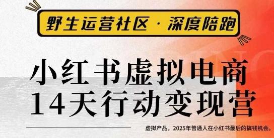 小红书虚拟电商14天变现训练营3.0,虚拟产品,2025年普通人在小红书最后的搞钱机会-三零资源
