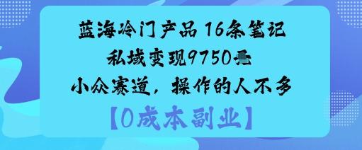 蓝海冷门产品:16条笔记私域变现9750米小众赛道,操作的人不多-三零资源