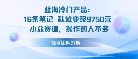 蓝海项目:16条笔记私域变现9750米小众赛道操作的人不多-三零资源