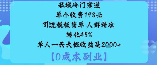 私域冷门赛道:单个收费198米引流模板简单人群精准转化45%单人一天大概收益是1k+-三零资源