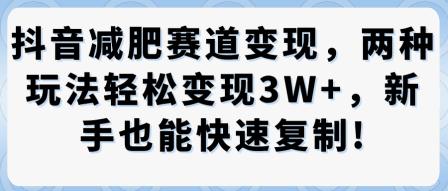 抖音减肥赛道变现,两种玩法轻松变现3W+,新手也能快速复制-三零资源