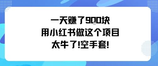 一天挣了9张用小红书做这个项目太牛了,空手套-三零资源