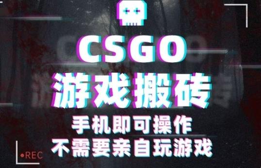 CSGO游戏挂G捡漏,单日扫货5张+,年底小高峰上车可吃肉,手机即可操作,兼职副业创业网创【揭秘】-三零资源