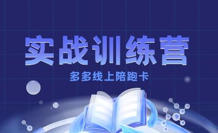 多多实战训练营,从0到1打造一个真正賺钱的店铺-三零资源