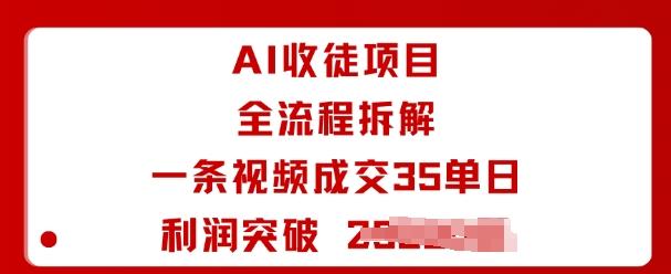 AI收徒项目全流程拆解一条视频成交35单日利润突破1k+-三零资源