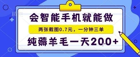 手机项目,二十秒一单,纯薅羊毛一天2张+做就有【揭秘】-三零资源