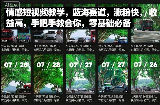 情感短视频教学，蓝海赛道，涨粉快，收益高，手把手教会你，零基础必备-三零资源