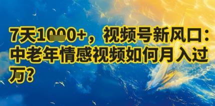 7天收益1k+,视频号新风口:中老年情感视频如何月入过W?-三零资源
