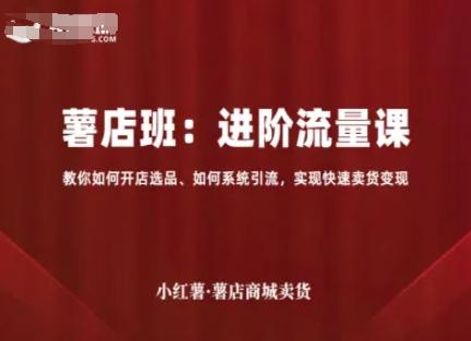 小红薯薯店商城卖货,进阶流量课,教你如何开店选品、如何系统引流,实现快速卖货变现-三零资源