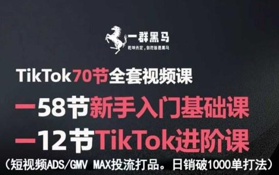 TikTok全套视频课，新手入门+进阶课，短视频ADS-GMV MAX投流打品，日销破1000单打法-三零资源