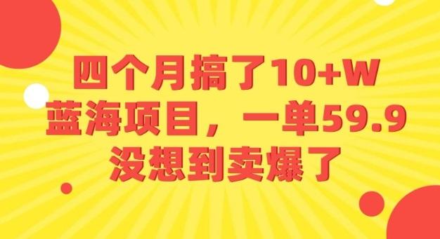 四个月搞了10+W的蓝海项目,一单59.9米,没想到卖爆了-三零资源