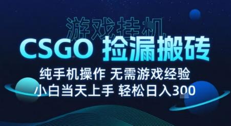 8月最新游戏搬砖,CSGO纯挂G,不需要玩游戏,实现真挂G,月入1W+【揭秘】-三零资源