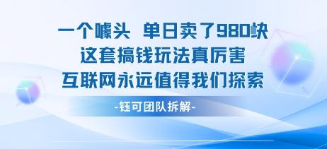 一个噱头单日卖了980米 这套搞钱玩法真厉害 互联网永远值得我们探索-三零资源