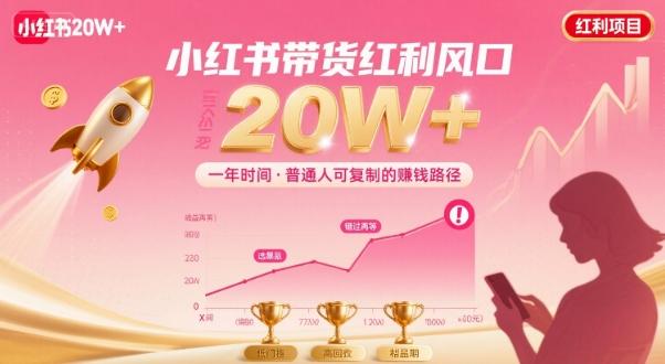 一年时间靠小红书带货项目年入20w+，最不能错的大红利项目-三零资源