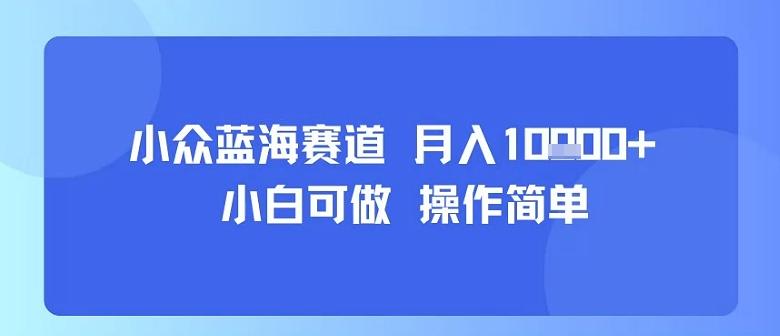 小众蓝海赛道,小白可做,操作简单,每天30分钟,月入1W+-三零资源