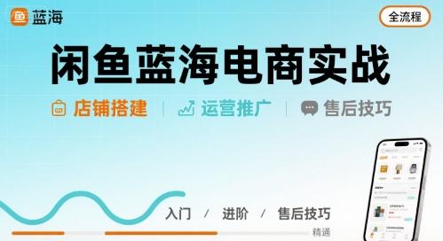 闲鱼蓝海电商实战，店铺搭建运营售后全流程-三零资源