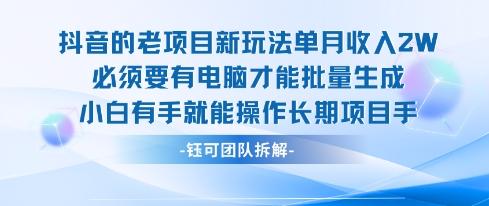 老项目新玩法单月收入2W小白有手就能操作长期项目-三零资源