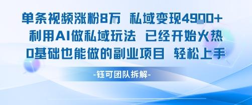 单条视频私域变现4.9k+利用AI做私域玩法 已经开始火热0基础也能做的副业项目轻松上手-三零资源
