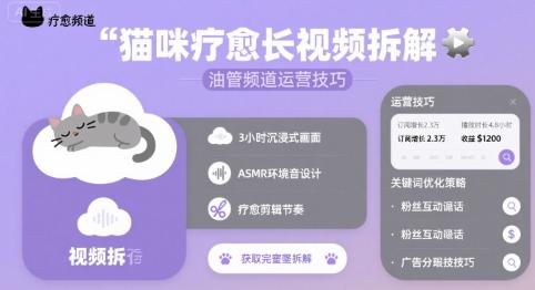 猫咪疗愈长视频拆解 &油管频道运营技巧-三零资源