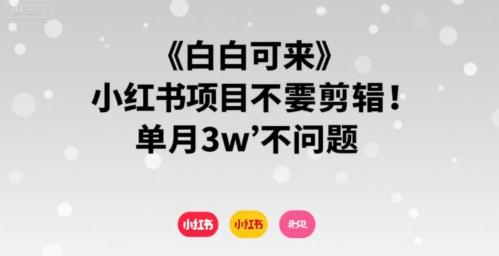 小白可来 小红书项目不需要剪辑 单月3w不是问题-三零资源